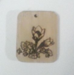 gallery/img_20190520_225516_aa-2